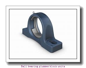 skf P2BL 008-FM Ball bearing plummer block units