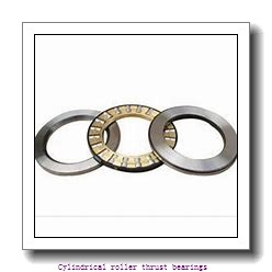 1120 mm x 1320 mm x 48 mm skf 811/1120 M Cylindrical roller thrust bearings