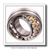 45 mm x 100 mm x 25 mm  SNR 21309EAW33C3 Double row spherical roller bearings